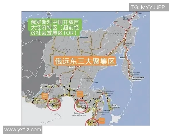 中国与俄罗斯的战略合作与竞争关系分析及未来展望